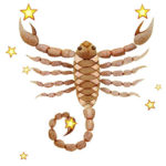horoscope 2019 Scorpion