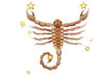 horoscope 2019 Scorpion