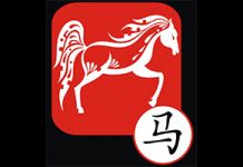 Horoscope cheval 2017